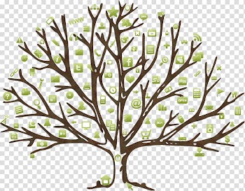 Coloring book Leaf Tree Autumn Drawing, Leaf transparent background PNG clipart