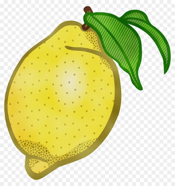 Coloring Book, Line Art, Book, Leaf, Pear PNG