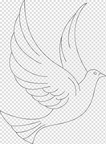 Coloring book Line art Drawing Bird , DOVE transparent background PNG clipart