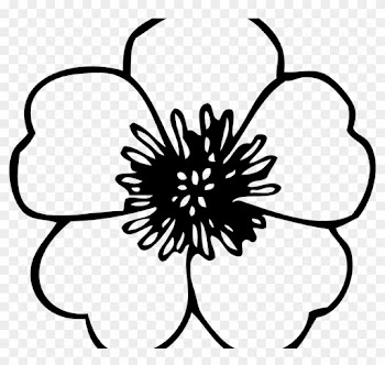 Coloring Page Poppy Flowers Veterans Day Pretty Flower - Flower Clip Art Free
