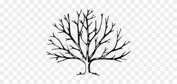 Coloring Trend Thumbnail Size Cutting Down Trees Tree - Tree With No Leaves