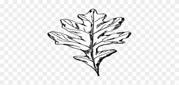 Coloring Trend Thumbnail Size Model Train Christmas - Black And White Oak Leaf