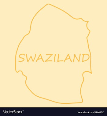Colors of swaziland vector image