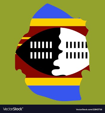 Colors of swaziland vector image