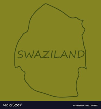 Colors of swaziland vector image