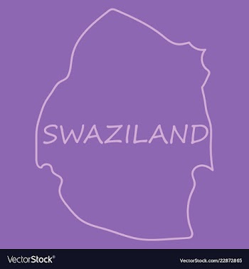 Colors of swaziland vector image
