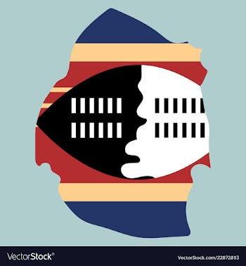 Colors of swaziland vector image