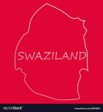 Colors of swaziland vector image