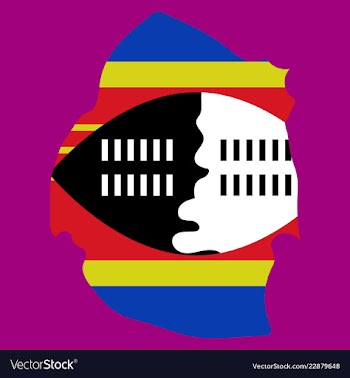 Colors of swaziland vector image