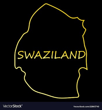 Colors of swaziland vector image