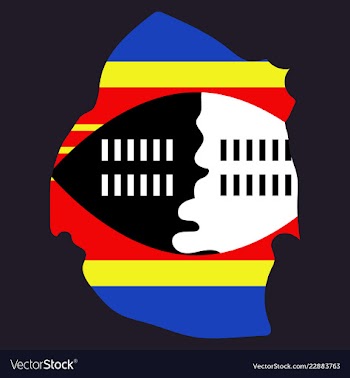 Colors of swaziland vector image