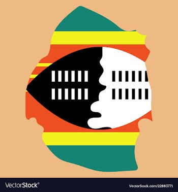 Colors of swaziland vector image