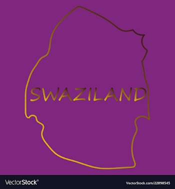 Colors of swaziland vector image
