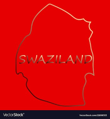 Colors of swaziland vector image