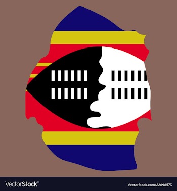 Colors of swaziland vector image