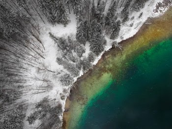 Colors of winter