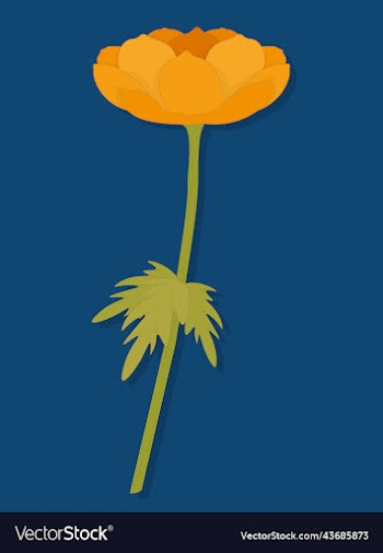 colour combination art orangle flower with stem