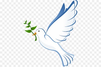 Columbidae Bible Christianity Clip art - Dove Vector 