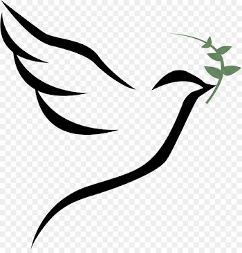 Columbidae Bird Doves as symbols - holy bible 