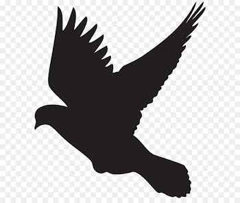Columbidae Bird Flight Silhouette Clip art - Flying Dove Silhouette PNG Clip Art 