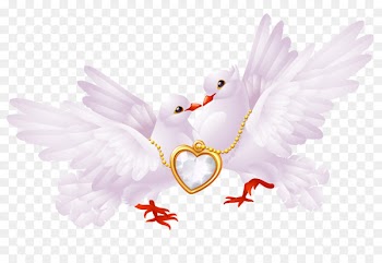 Columbidae Bird Love Clip art - wedding vector 