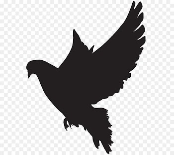 Columbidae Bird Silhouette Clip art - Dove Silhouette PNG Clip Art Image 
