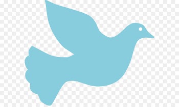Columbidae Clip art - Dove Cliparts 