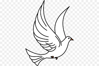 Columbidae Clip art - Flying Bird Drawing 