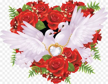 Columbidae Domestic pigeon Wedding Bird Clip art - wedding 