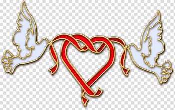 Columbidae Hindu wedding , Wedding Ribbon transparent background PNG clipart