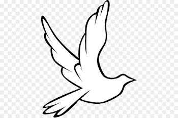 Columbidae Holy Spirit Doves as symbols Clip art - Wedding Dove ...