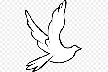 Columbidae Holy Spirit Doves as symbols Clip art - Wedding Dove Clipart 