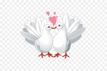 Columbidae Lovebird Doves as symbols Clip art - DOVE 
