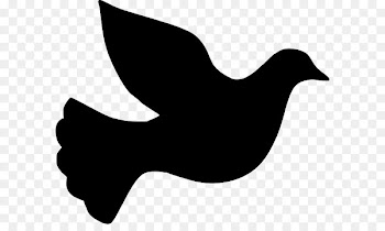 Columbidae Silhouette Doves as symbols Clip art - dove vector 