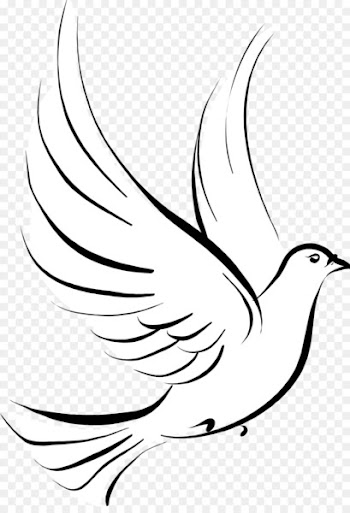 Columbidae Stencil Drawing Clip art - DOVE 