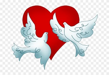 Columbidae Wedding Doves As Symbols Clip Art - Columbidae Wedding Doves As Symbols Clip Art