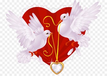 Columbidae Wedding invitation Illustration - Dangling love birds 