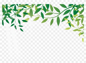 Com Earth Leaf Online Shopping Amazon Rainforest - Amazon Forest Vector