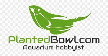 Com Planted Aquarium Blog Logo - Natural Foods