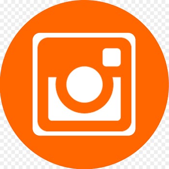 .com Service Organization .net Customer intelligence - INSTAGRAM LOGO 