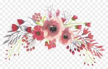 Com Wp Content Uploads 2017 02 Coral Spray Lollyslane - Watercolor Flowers Transparent Background