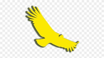 Come Feel The Power Of Nature - Golden Eagle