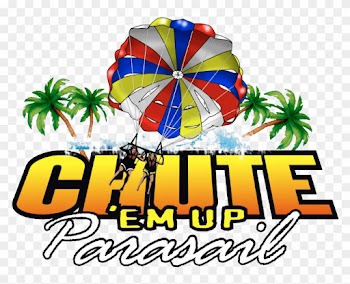 Come See Us - Draw A Palm Tree