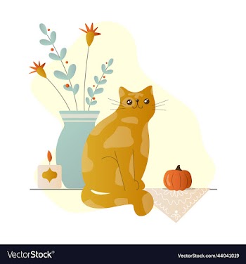comfort fluffy doodle flat a red cat