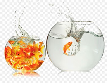 Comfort zone Breakout Creativity Thought - fish bowl 
