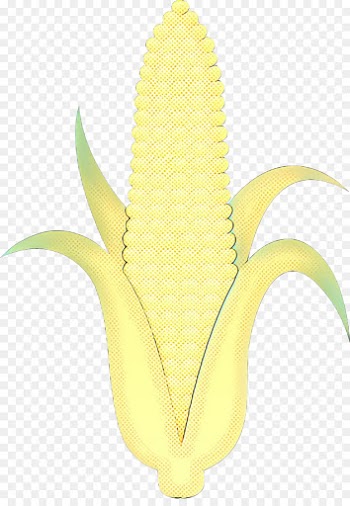 Commodity, Plants, Yellow, Plant PNG