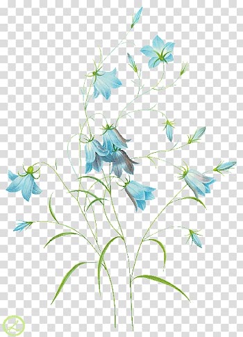 Common Bluebell Harebell Watercolor painting , others transparent background PNG clipart