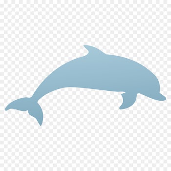 Common bottlenose dolphin Clip art Vector graphics Image - dolphin silhouette 