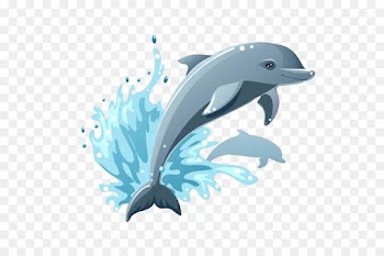 Common Bottlenose Dolphin, Dolphin, Drawing, Bottlenose Dolphin PNG
