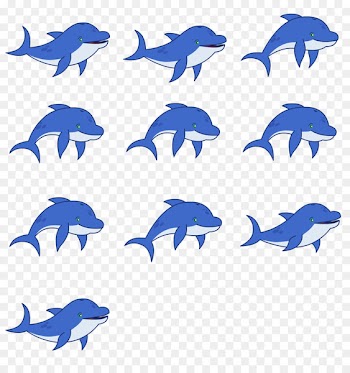Common bottlenose dolphin Porpoise Marine biology Mammal - dolphin 